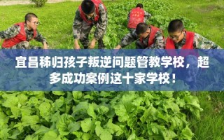 宜昌秭归孩子叛逆问题管教学校，超多成功案例这十家学校！