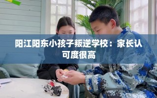 阳江阳东小孩子叛逆学校：家长认可度很高