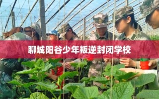 聊城阳谷少年叛逆封闭学校