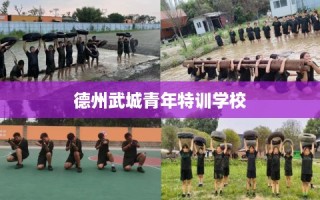 德州武城青年特训学校