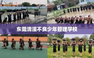 东莞清溪不良少年管理学校