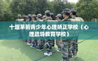 十堰茅箭青少年心理矫正学校（心理疏导教育学校）