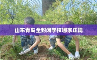 山东青岛全封闭学校哪家正规