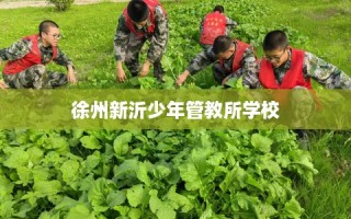 徐州新沂少年管教所学校