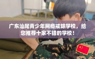 广东汕尾青少年网瘾戒除学校，给您推荐十家不错的学校！