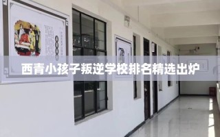 西青小孩子叛逆学校排名精选出炉