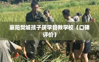 襄阳樊城孩子厌学管教学校（口碑评价）