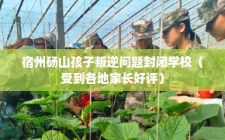 宿州砀山孩子叛逆问题封闭学校（受到各地家长好评）
