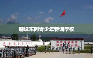 聊城东阿青少年特训学校