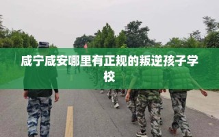 咸宁咸安哪里有正规的叛逆孩子学校