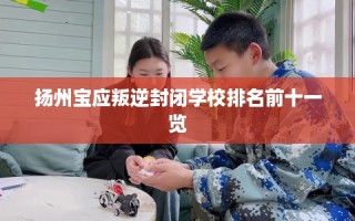 扬州宝应叛逆封闭学校排名前十一览