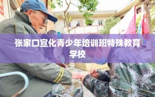张家口宣化青少年培训班特殊教育学校