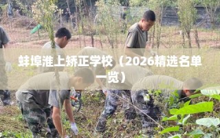 蚌埠淮上矫正学校（2026精选名单一览）