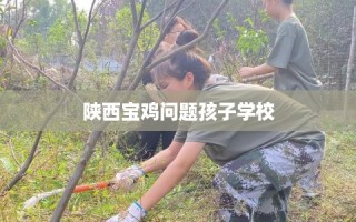陕西宝鸡问题孩子学校