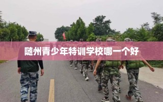 随州青少年特训学校哪一个好