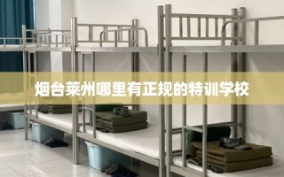 烟台莱州哪里有正规的特训学校