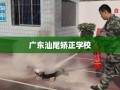 广东汕尾矫正学校