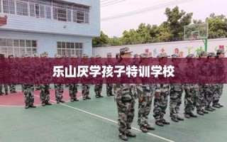 乐山厌学孩子特训学校