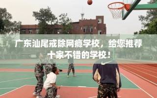 广东汕尾戒除网瘾学校，给您推荐十家不错的学校！