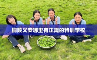 铜陵义安哪里有正规的特训学校