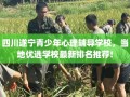 四川遂宁青少年心理辅导学校，当地优选学校最新排名推荐!
