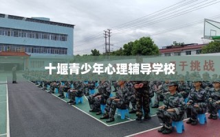 十堰青少年心理辅导学校