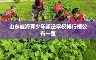 山东威海青少年叛逆学校排行榜公布一览