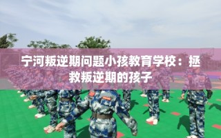 宁河叛逆期问题小孩教育学校：拯救叛逆期的孩子