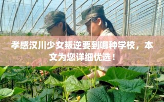 孝感汉川少女叛逆要到哪种学校，本文为您详细优选！