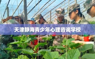 天津静海青少年心理咨询学校
