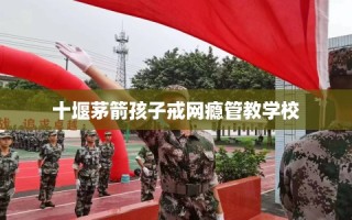 十堰茅箭孩子戒网瘾管教学校