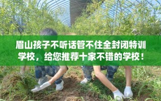 眉山孩子不听话管不住全封闭特训学校，给您推荐十家不错的学校！