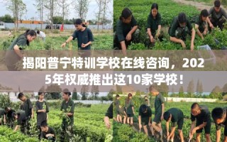 揭阳普宁特训学校在线咨询，2025年权威推出这10家学校！