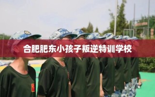 合肥肥东小孩子叛逆特训学校