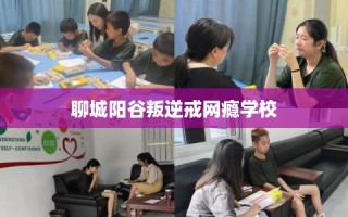 聊城阳谷叛逆戒网瘾学校