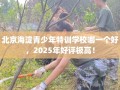 北京海淀青少年特训学校哪一个好，2025年好评极高！