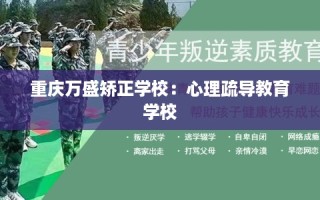 重庆万盛矫正学校：心理疏导教育学校