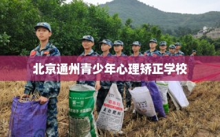 北京通州青少年心理矫正学校