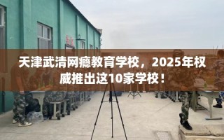 天津武清网瘾教育学校，2025年权威推出这10家学校！