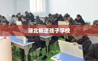 湖北叛逆孩子学校