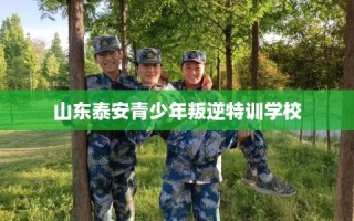山东泰安青少年叛逆特训学校