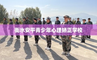 衡水安平青少年心理矫正学校