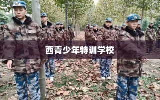 西青少年特训学校