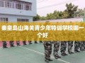 秦皇岛山海关青少年特训学校哪一个好