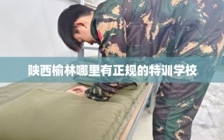 陕西榆林哪里有正规的特训学校