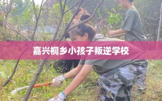嘉兴桐乡小孩子叛逆学校
