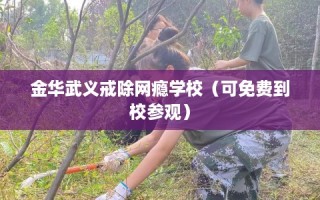 金华武义戒除网瘾学校（可免费到校参观）