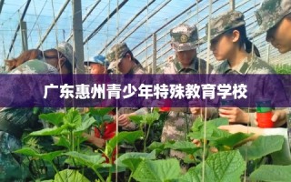 广东惠州青少年特殊教育学校