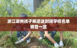 浙江湖州孩子叛逆送封闭学校名单榜首一览