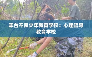 丰台不良少年教育学校：心理疏导教育学校